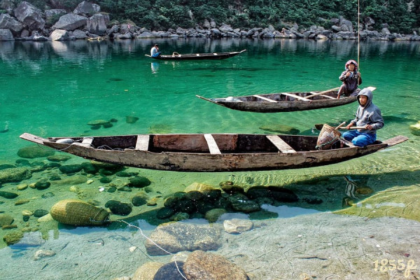 Assam tour Package - 5Nights / 6 Days