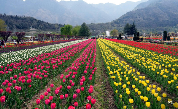 Dreamland Kashmir Package - 06 Nights / 07 Days