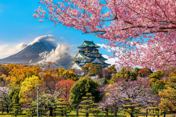 JAPAN TOUR - 8 Nights/9 Days