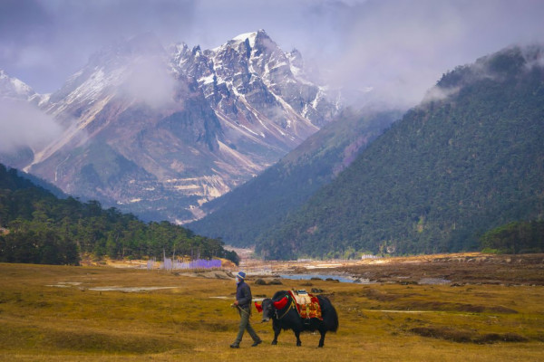 THE GLACIERS OF HIMALAYAS - 6 Nights/ 7 Days